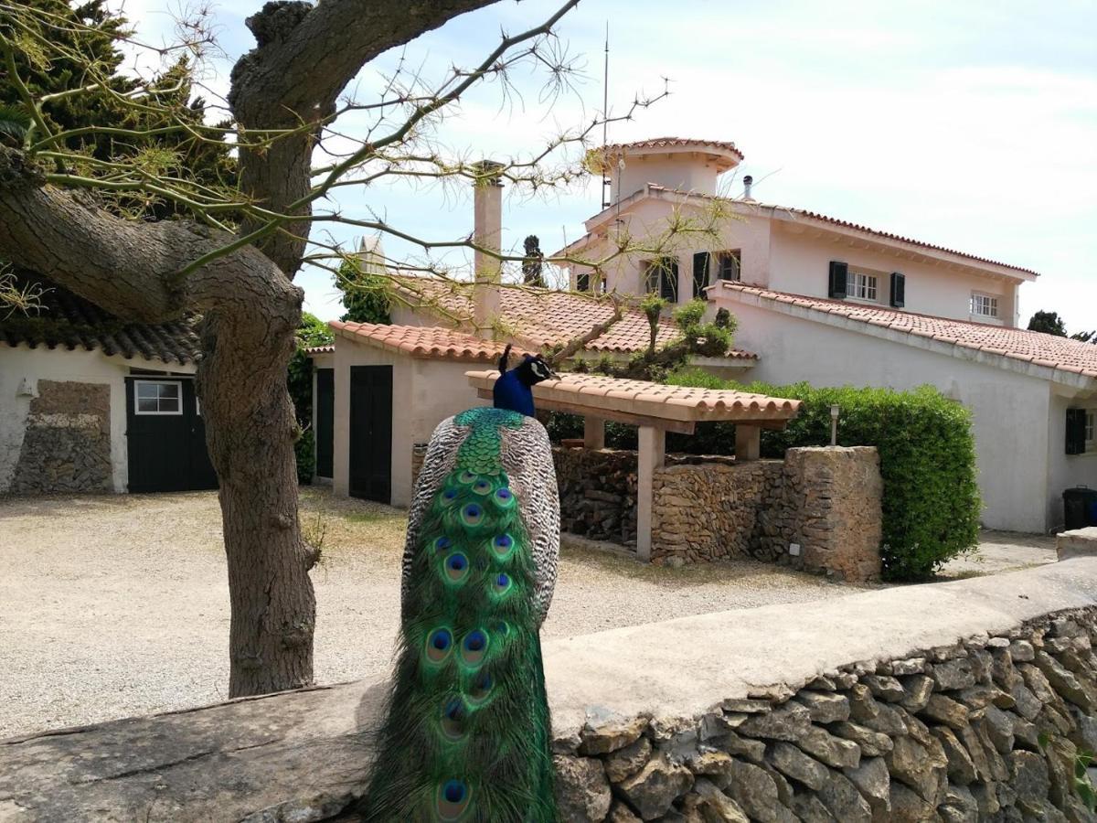 Finca Son Temet Es Mercadal Exterior photo